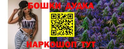 гашик Новокубанск