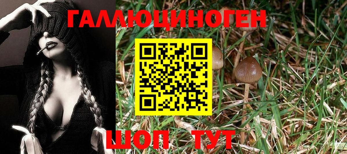 Осинники  Галлюциногенные грибы MAGIC MUSHROOMS  Галлюциногенные грибы Magic Shrooms  Вход с VPN 